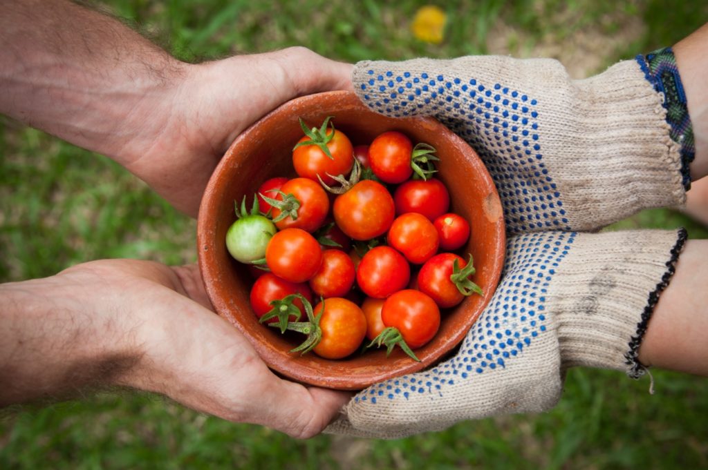 bowl of tomatoes